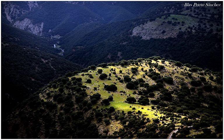 Apartamentos Turisticos Rurales Monte De Las Animas Valdepenas de Jaen Bagian luar foto