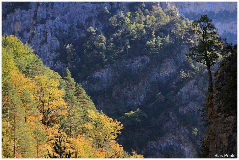 Apartamentos Turisticos Rurales Monte De Las Animas Valdepenas de Jaen Bagian luar foto